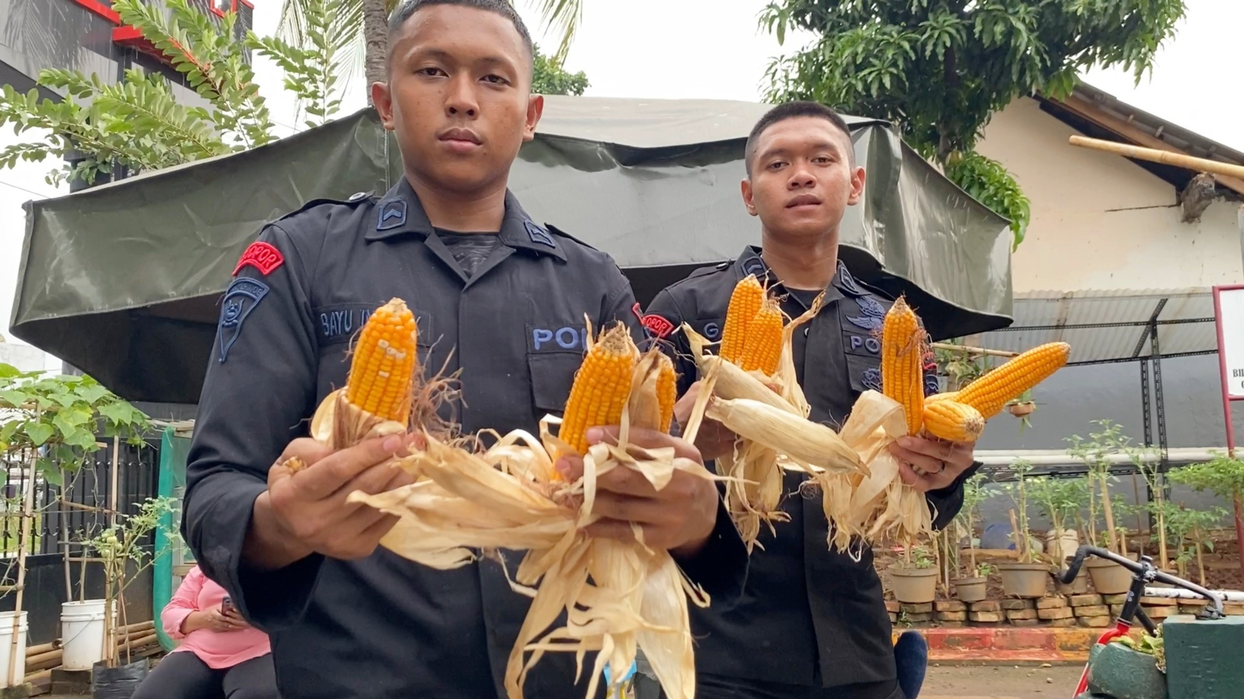 Brimob Polda Metro Jaya Dukung Program Ketahanan Pangan Lewat Panen Jagung dan Aksi Bersih Lingkungan